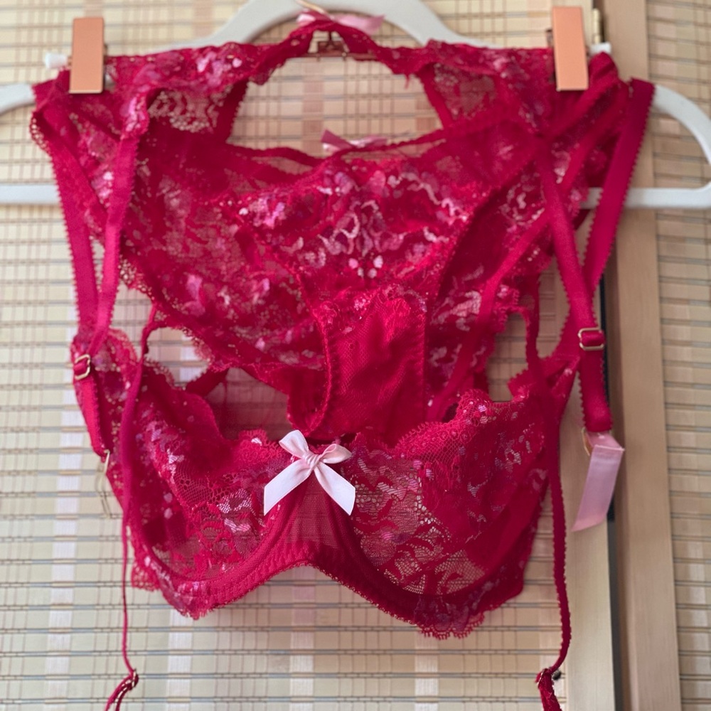 Elegant Agent Provocateur Lace Red Lingerie Set NWOT